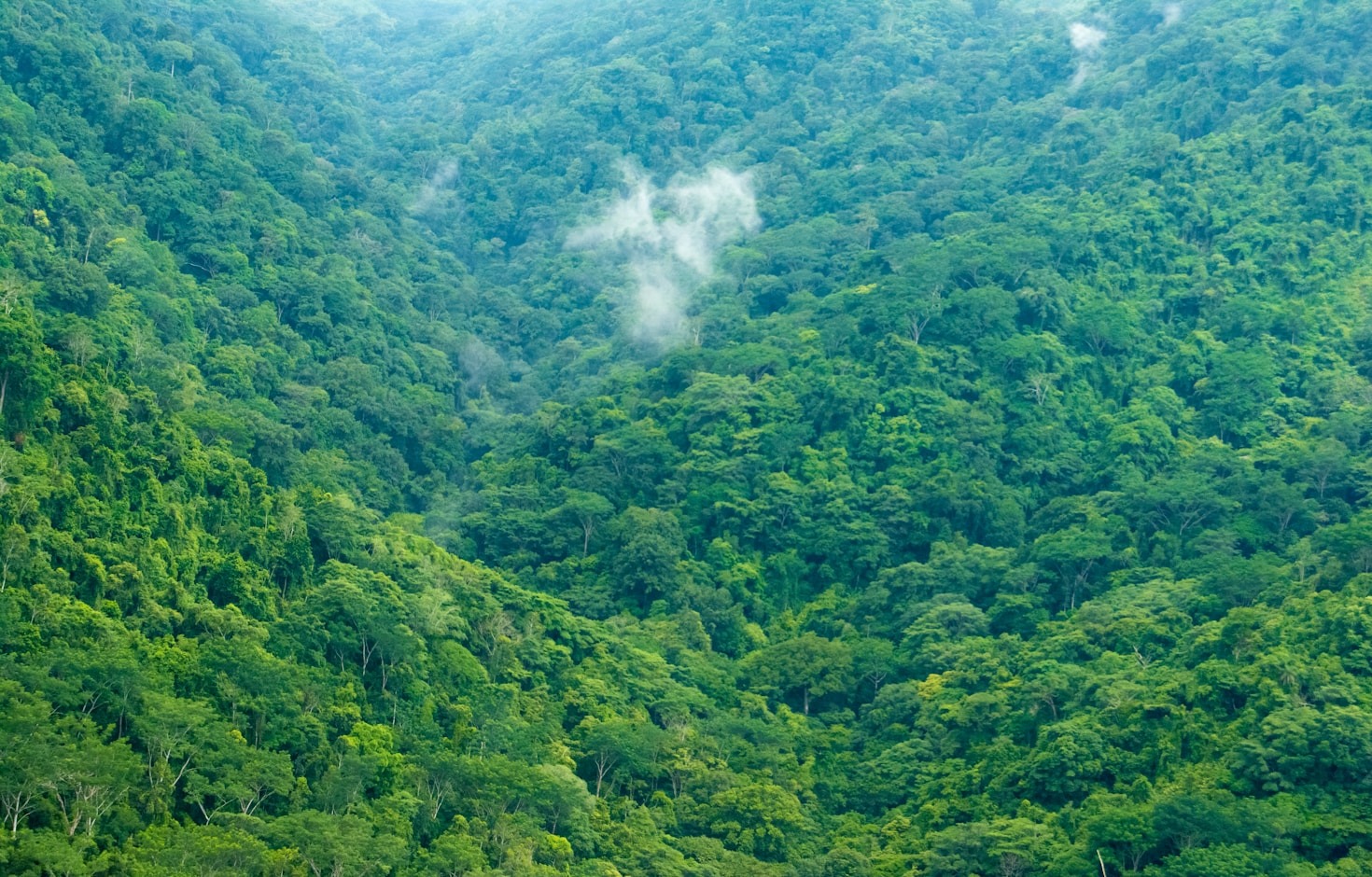 Impacto Socioambiental: Iniciativas do Grupo MAUA